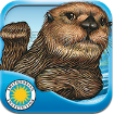 Otter On His Own