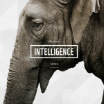 WWF Together Free App