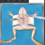 Frog Dissection App