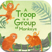 A troop is a group of monkeys