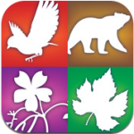 Audubon-Guide-App