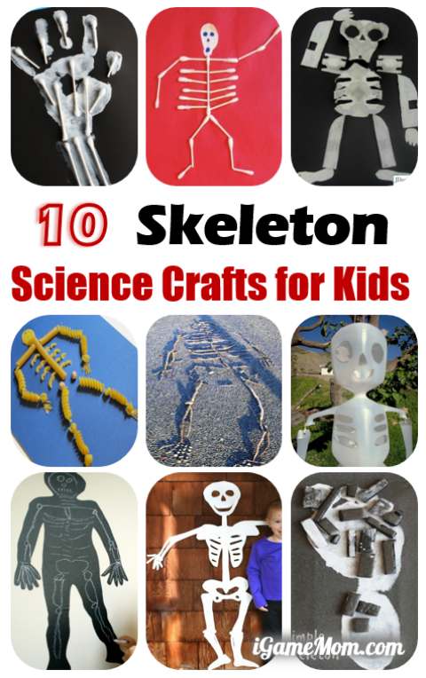 10 skeleton science crafts for kids to learn human body anatomy -- great STEM activities for Halloween or anytime of the year, combining art and science, kids learn and have fun at the same time. | DIY project