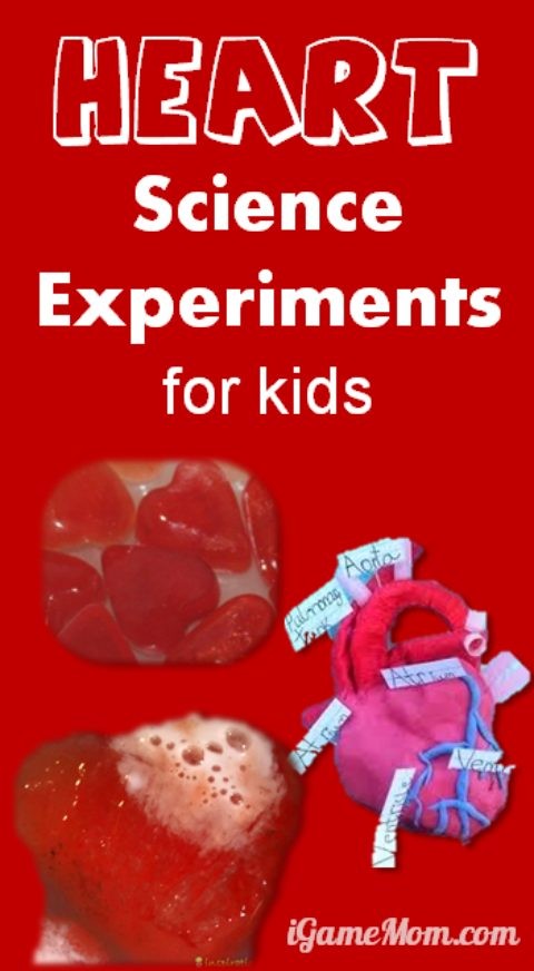 Simple Science Experiments with Heart Themes