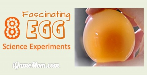 egg science experiments to amaze kids