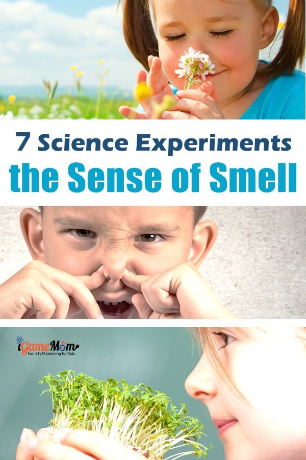 What are the five senses? Why can we smell? Fun science activities that answer kids questions about the sense of smell. The five senses activities for preschool kindergarten to high school. STEM resource for My 5 Senses unit