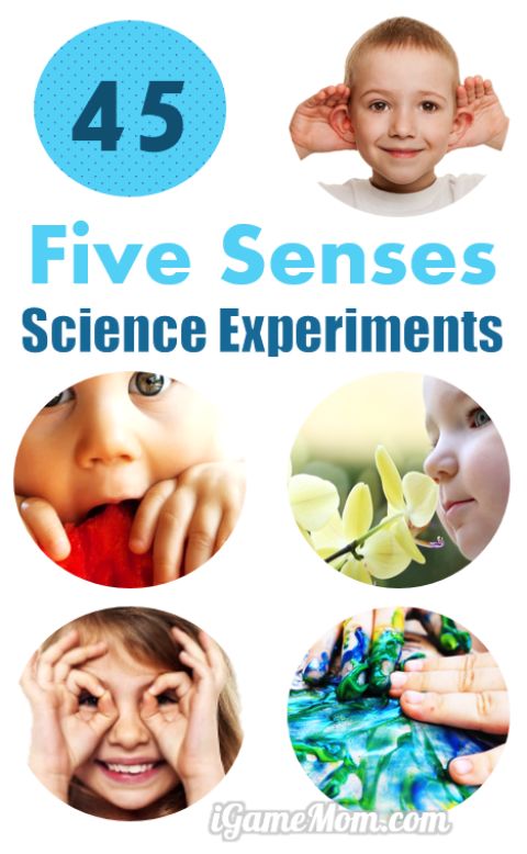 How to teach kids about the 5 senses? These 45 science experiments not only teach kids about senses of touch, see, smell, taste, hear, but also scientific thinking and methodology - for kids from preschool, kindergarten, to high school. Fun STEM activities for classroom, homeschool, or after school supplements. Many are also great science fair project ideas.