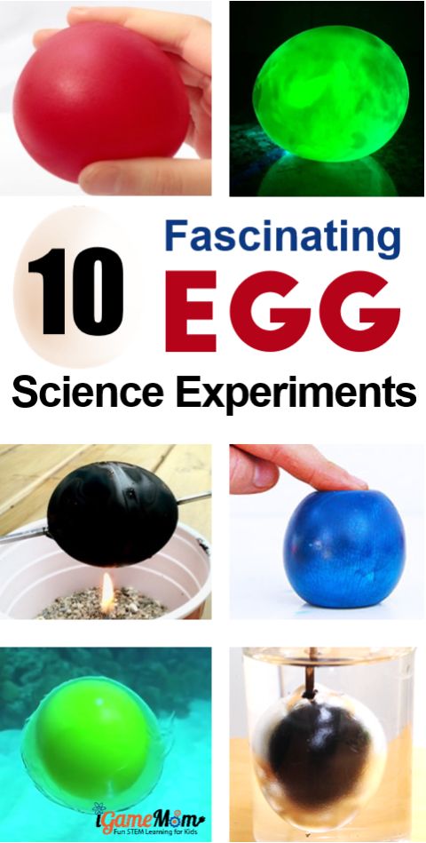 11 fascinating egg science experiments for kids, easy to do at home in the kitchen, also are good ideas for science fairs. Try egg drop, naked egg or rubber egg, walk on eggs, glowing egg, ... Fun kitchen science STEM activities at home and school.