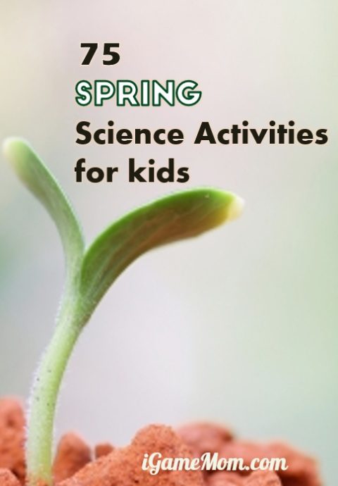 Fun spring science experiment activities for kids from preschool to school age: learn about seeds, bugs, rain, wind, weather, ... Fun nature STEM activities for science class at school and homeschool