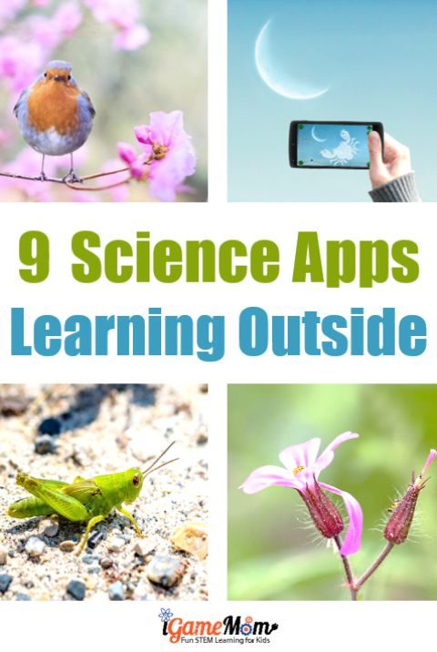 9 Apps Making Outdoor Science Learning Fun