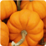 9 Pumpkin Science Activities for Kids post image
