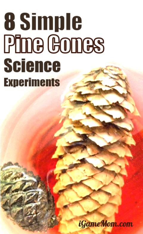 Pine cone science experiments for kids - learn about pine cones and research skills with easy science activities that even young children can participate the fun. Great STEM activities of all seasons | plant life cycle