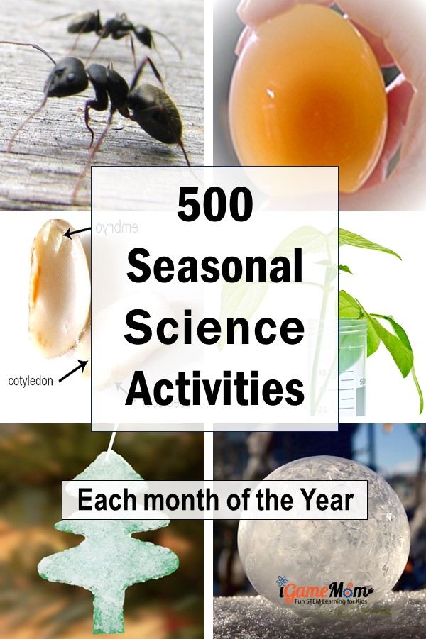 seasonal science activities monthly list for the whole year. STEM science experiments of holiday theme, nature plants and animal theme, seasonal weather experiments, for kids from preschool kindergarten to high school. Great STEM resource for science class, homeschool, science club, science camp.