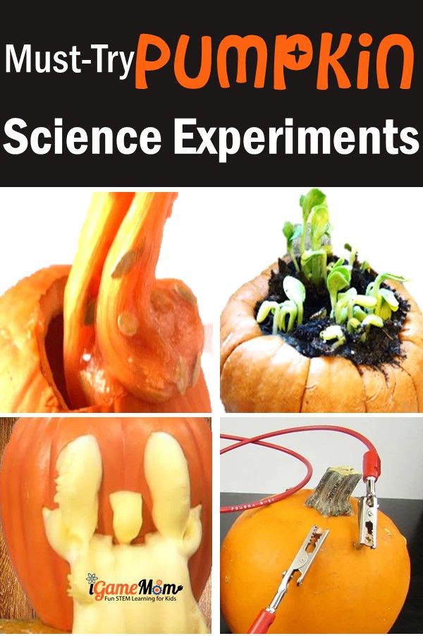 Pumpkin science experiments in the fall for kids learn chemistry, circuit, plant life cycle, physics, scientific recording and science journal. Easy STEM activities for science class, homeschool, science camp.