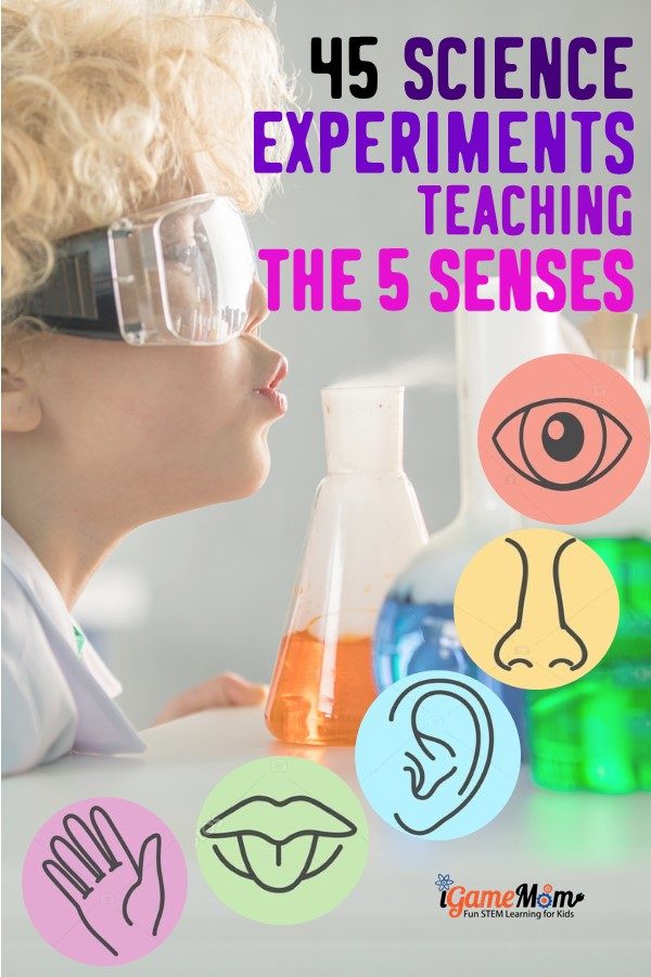 Learn the 5 senses with science experiments, 5-10 experiments for each sense: taste, smell, touch, see, hearing. Easy STEM activities for kids from from preschool to elementary to middle school