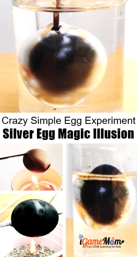 Crazy simple egg science experiment: magic silver egg illusion. Easy kitchen science activity at home to wow kids. Find out the science behind the magic.