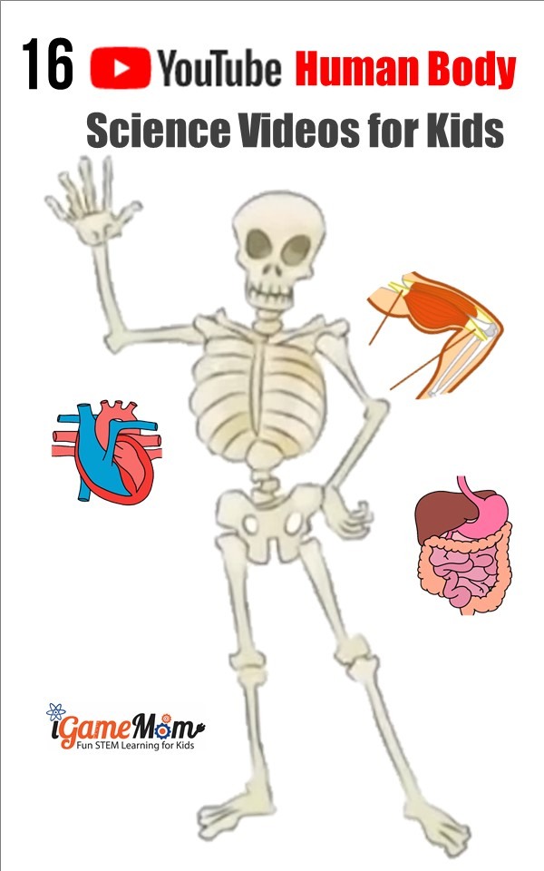 science videos for kids: YouTube videos teaching human body systems, by grade level