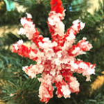 Crazy Fast Salt Crystal Christmas Ornaments – No Borax Needed post image