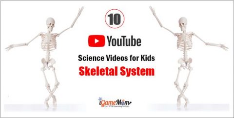science video skeletal system for kids