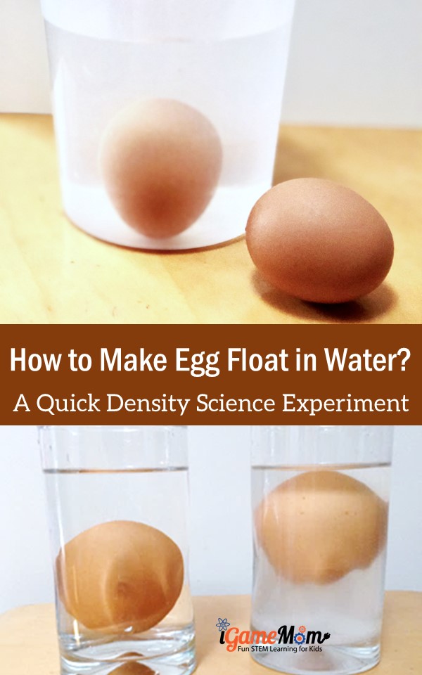 How to make egg float in water? An easy science experiment about density and buoyancy. Kitchen STEM activity for kids all ages