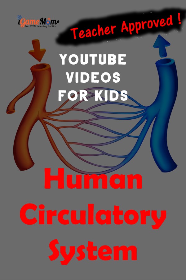 Teaching kids Human Body Circulatory System with free videos on Youtube, learn about heart, blood cells, and blood vessels with interactive cartoons and engaging illustrations. Great for science class and homeschool. Preschool to high school. STEM education resource